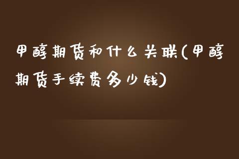 甲醇期货和什么关联(甲醇期货手续费多少钱)_https://www.zztgc.com_期货入门_第1张
