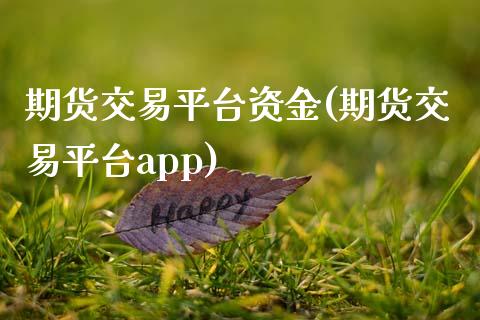 期货交易平台资金(期货交易平台app)_https://www.zztgc.com_黄金期货_第1张