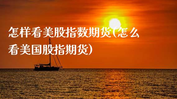 怎样看美股指数期货(怎么看美国股指期货)_https://www.zztgc.com_黄金期货_第1张