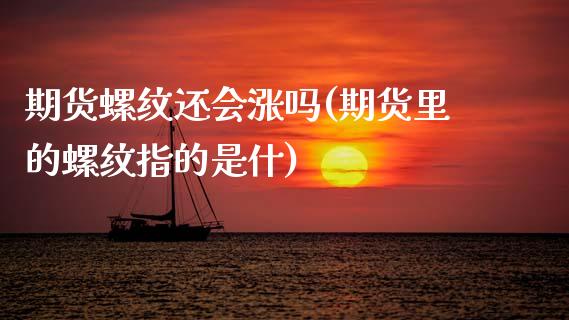 期货螺纹还会涨吗(期货里的螺纹指的是什)_https://www.zztgc.com_期货直播_第1张