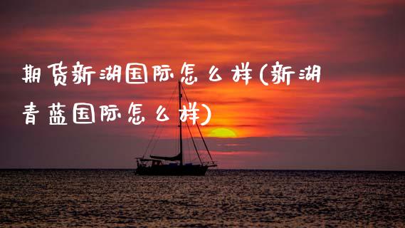 期货新湖国际怎么样(新湖青蓝国际怎么样)_https://www.zztgc.com_期货直播_第1张