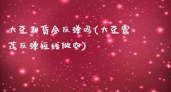 大豆期货会反弹吗(大豆震荡反弹短线做空)_https://www.zztgc.com_期货入门_第1张