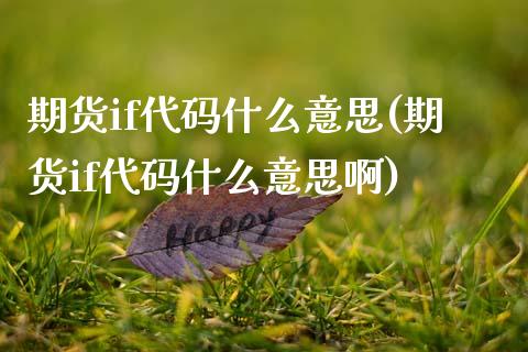 期货if代码什么意思(期货if代码什么意思啊)_https://www.zztgc.com_黄金期货_第1张