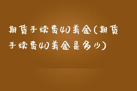 期货手续费40美金(期货手续费40美金是多少)_https://www.zztgc.com_原油期货_第1张