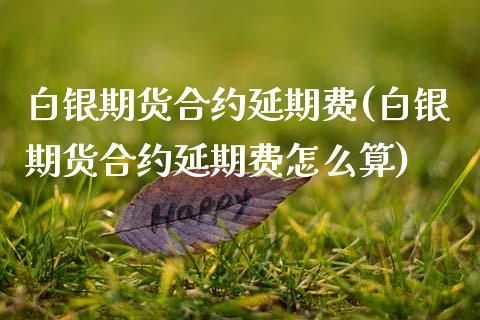 白银期货合约延期费(白银期货合约延期费怎么算)_https://www.zztgc.com_期货行情_第1张