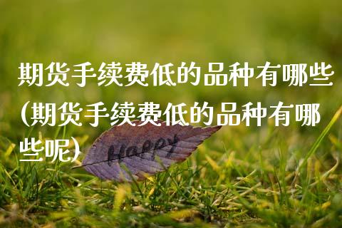 期货手续费低的品种有哪些(期货手续费低的品种有哪些呢)_https://www.zztgc.com_期货直播_第1张