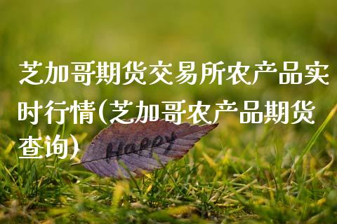 芝加哥期货交易所农产品实时行情(芝加哥农产品期货查询)_https://www.zztgc.com_期货开户_第1张