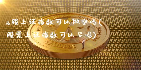 a股上证指数可以做空吗(股票上证指数可以买吗)_https://www.zztgc.com_期货入门_第1张