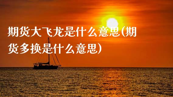 期货大飞龙是什么意思(期货多换是什么意思)_https://www.zztgc.com_期货直播_第1张
