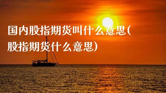 国内股指期货叫什么意思(股指期货什么意思)_https://www.zztgc.com_期货开户_第1张