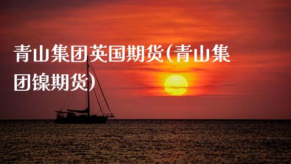 青山集团英国期货(青山集团镍期货)_https://www.zztgc.com_期货直播_第1张