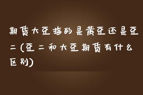 期货大豆指的是黄豆还是豆二(豆二和大豆期货有什么区别)_https://www.zztgc.com_期货开户_第1张