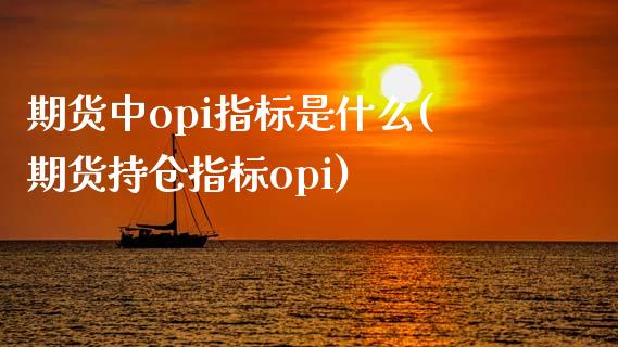 期货中opi指标是什么(期货持仓指标opi)_https://www.zztgc.com_期货入门_第1张