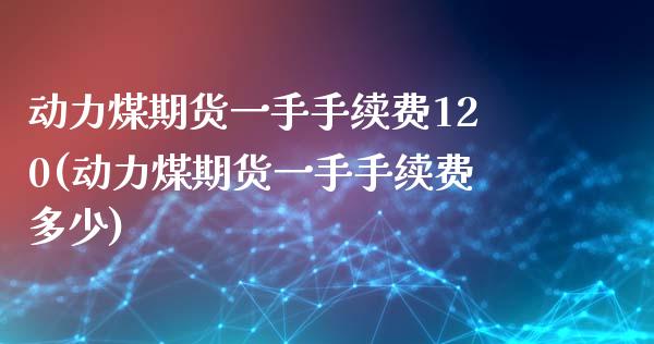 动力煤期货一手手续费120(动力煤期货一手手续费多少)_https://www.zztgc.com_期货直播_第1张