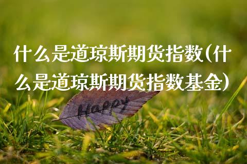 什么是道琼斯期货指数(什么是道琼斯期货指数基金)_https://www.zztgc.com_原油期货_第1张