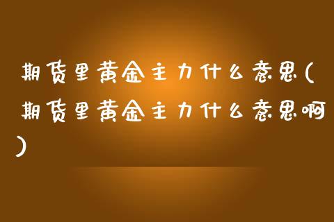 期货里黄金主力什么意思(期货里黄金主力什么意思啊)_https://www.zztgc.com_黄金期货_第1张