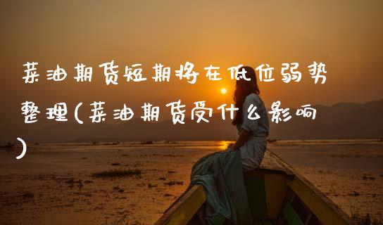 菜油期货短期将在低位弱势整理(菜油期货受什么影响)_https://www.zztgc.com_期货开户_第1张