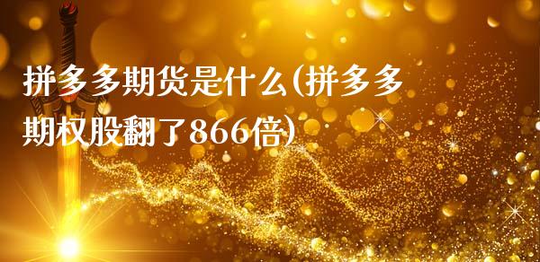 拼多多期货是什么(拼多多期权股翻了866倍)_https://www.zztgc.com_期货直播_第1张