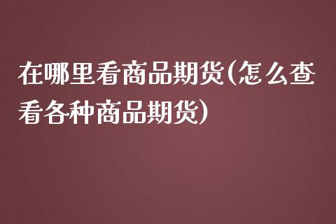 在哪里看商品期货(怎么查看各种商品期货)_https://www.zztgc.com_原油期货_第1张
