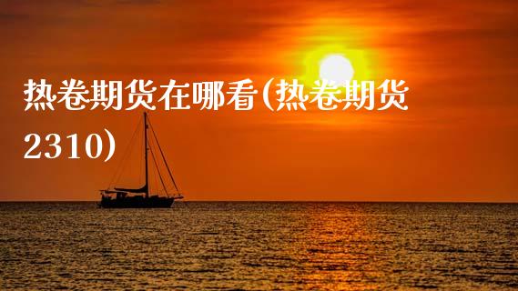 热卷期货在哪看(热卷期货2310)_https://www.zztgc.com_期货入门_第1张