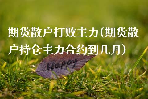 期货散户打败主力(期货散户持仓主力合约到几月)_https://www.zztgc.com_黄金期货_第1张