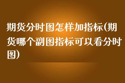 期货分时图怎样加指标(期货哪个副图指标可以看分时图)_https://www.zztgc.com_期货开户_第1张