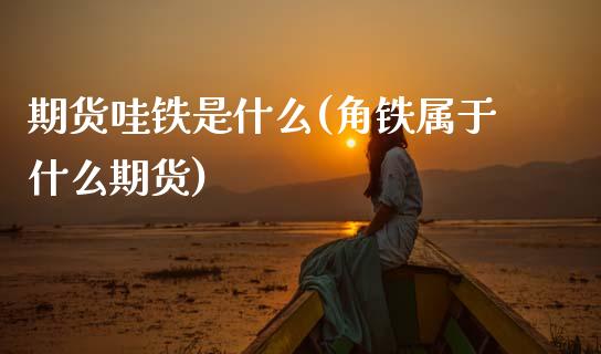 期货哇铁是什么(角铁属于什么期货)_https://www.zztgc.com_期货直播_第1张