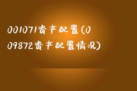 001071资产配置(009872资产配置情况)_https://www.zztgc.com_期货行情_第1张