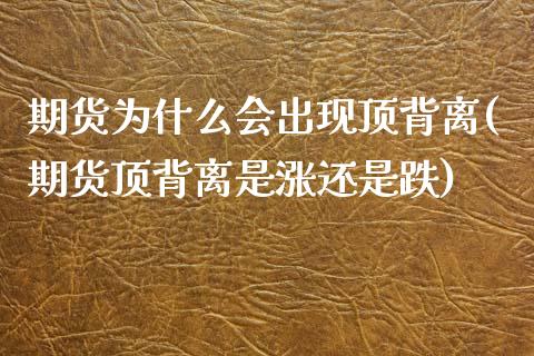 期货为什么会出现顶背离(期货顶背离是涨还是跌)_https://www.zztgc.com_期货入门_第1张