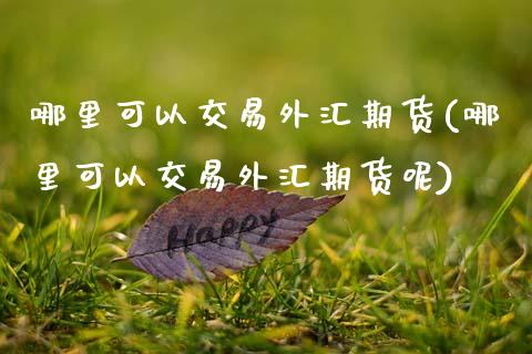 哪里可以交易外汇期货(哪里可以交易外汇期货呢)_https://www.zztgc.com_原油期货_第1张