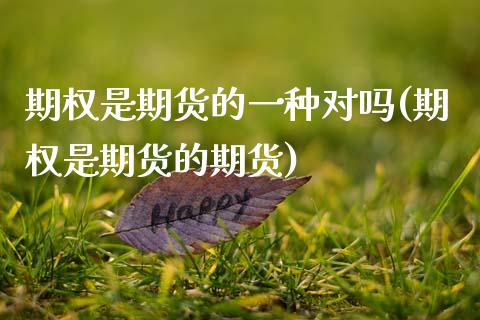 期权是期货的一种对吗(期权是期货的期货)_https://www.zztgc.com_期货行情_第1张