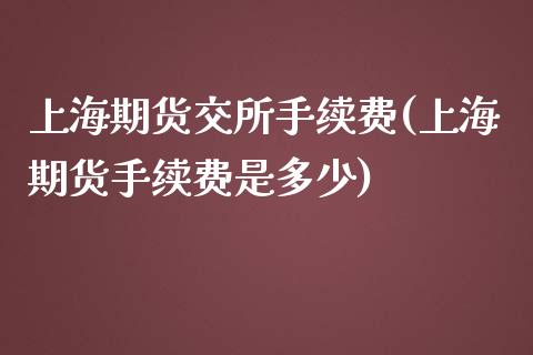 上海期货交所手续费(上海期货手续费是多少)_https://www.zztgc.com_期货直播_第1张