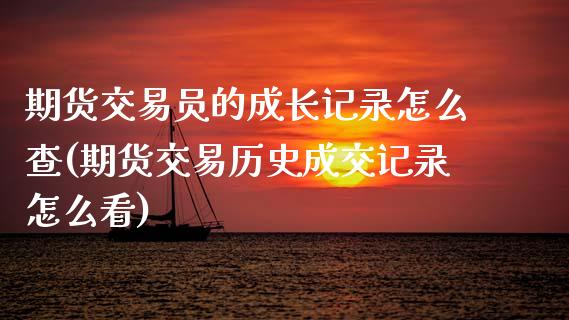 期货交易员的成长记录怎么查(期货交易历史成交记录怎么看)_https://www.zztgc.com_原油期货_第1张