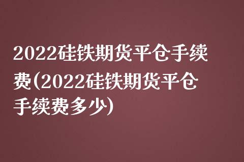 2022硅铁期货平仓手续费(2022硅铁期货平仓手续费多少)_https://www.zztgc.com_期货行情_第1张
