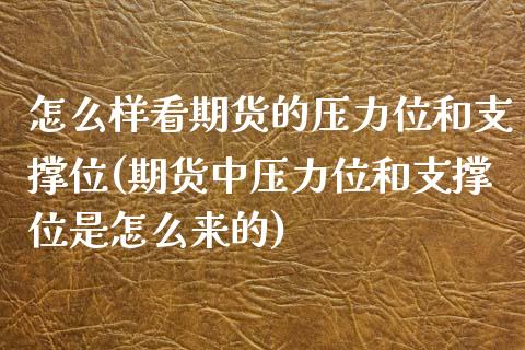 怎么样看期货的压力位和支撑位(期货中压力位和支撑位是怎么来的)_https://www.zztgc.com_期货行情_第1张
