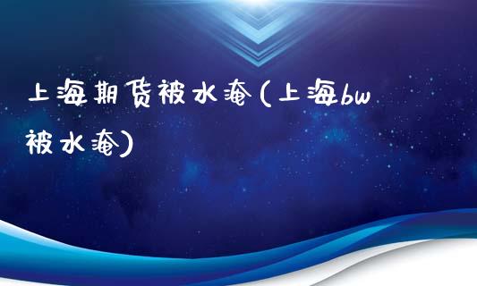 上海期货被水淹(上海bw被水淹)_https://www.zztgc.com_期货行情_第1张