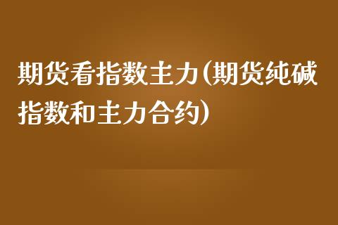 期货看指数主力(期货纯碱指数和主力合约)_https://www.zztgc.com_期货直播_第1张