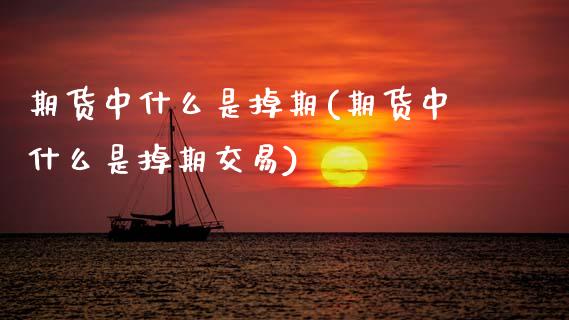 期货中什么是掉期(期货中什么是掉期交易)_https://www.zztgc.com_期货行情_第1张