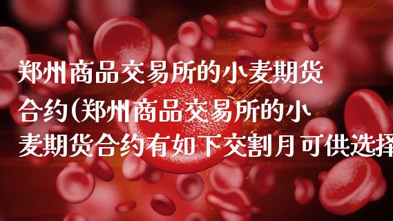 郑州商品交易所的小麦期货合约(郑州商品交易所的小麦期货合约有如下交割月可供选择)_https://www.zztgc.com_期货入门_第1张