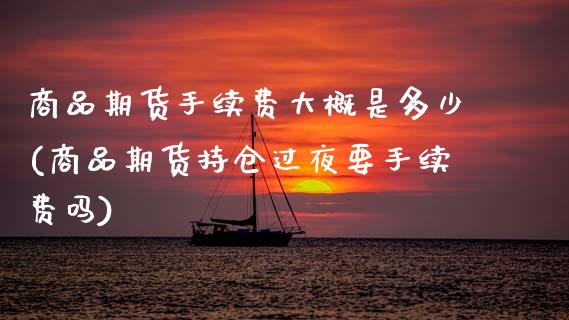 商品期货手续费大概是多少(商品期货持仓过夜要手续费吗)_https://www.zztgc.com_期货行情_第1张