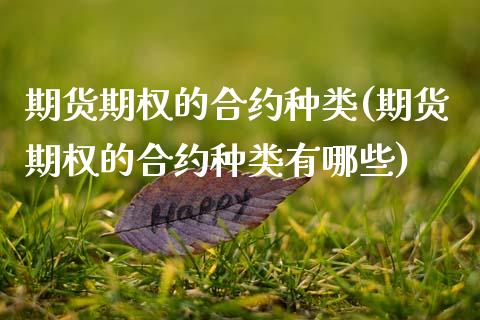 期货期权的合约种类(期货期权的合约种类有哪些)_https://www.zztgc.com_期货入门_第1张
