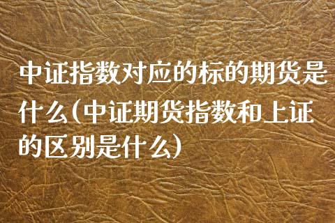中证指数对应的标的期货是什么(中证期货指数和上证的区别是什么)_https://www.zztgc.com_原油期货_第1张