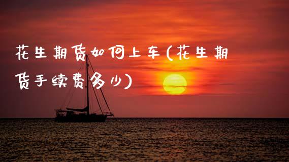 花生期货如何上车(花生期货手续费多少)_https://www.zztgc.com_黄金期货_第1张
