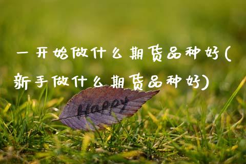 一开始做什么期货品种好(新手做什么期货品种好)_https://www.zztgc.com_期货入门_第1张