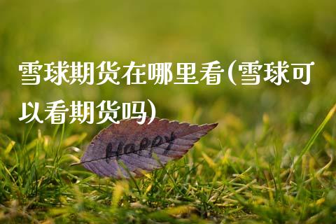 雪球期货在哪里看(雪球可以看期货吗)_https://www.zztgc.com_期货行情_第1张