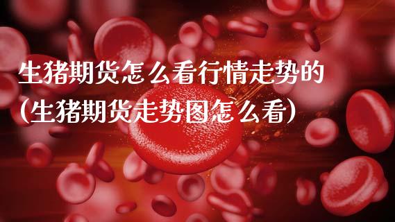 生猪期货怎么看行情走势的(生猪期货走势图怎么看)_https://www.zztgc.com_期货入门_第1张