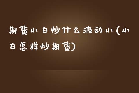 期货小白炒什么波动小(小白怎样炒期货)_https://www.zztgc.com_黄金期货_第1张