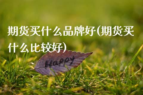 期货买什么品牌好(期货买什么比较好)_https://www.zztgc.com_期货直播_第1张
