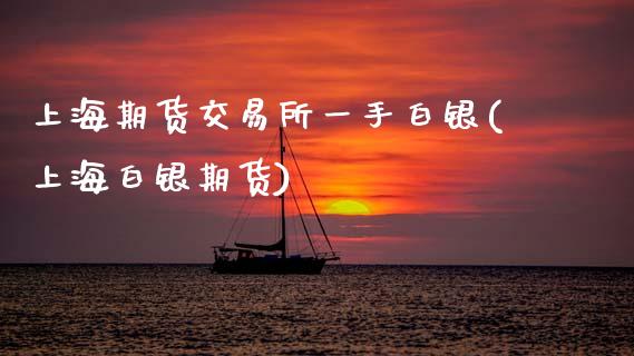 上海期货交易所一手白银(上海白银期货)_https://www.zztgc.com_期货行情_第1张