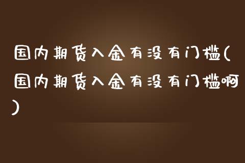 国内期货入金有没有门槛(国内期货入金有没有门槛啊)_https://www.zztgc.com_期货入门_第1张